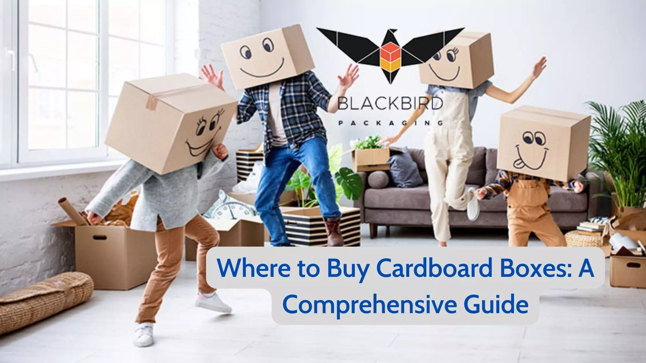 Where to Buy Cardboard Boxes
